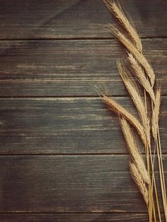 two stalks of wheat sitting on top of a wooden table