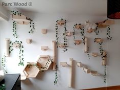 the wall is decorated with wooden birdhouses and plants