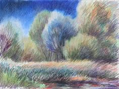 colored pencil drawing of trees and water