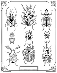 four different types of bugs in black and white