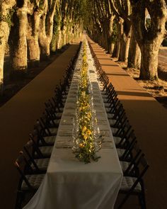 a long table is set up in the middle of an avenue with rows of trees