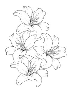 three lilies are shown in black and white, with one flower on the left side