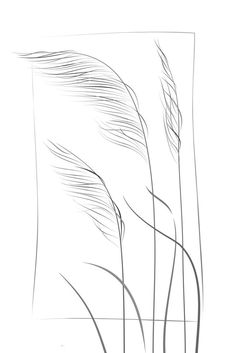 a line drawing of three tall grass