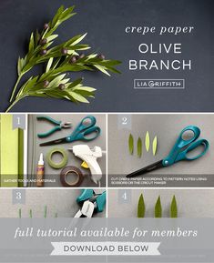 the instructions for how to make paper olive branches