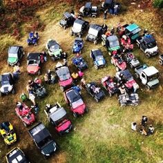 a group of cars that are sitting in the grass