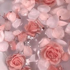 pink roses floating in water on a white surface with clear bubble wrap around the petals