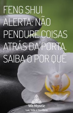 a white flower sitting on top of two black rocks with the words, feliz visa