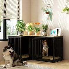 two dogs are sitting in their kennels on the floor next to each other