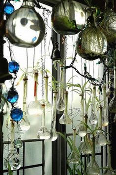 many glass vases with plants in them are hanging from the window sill outside