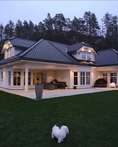 a white dog is standing in front of a large house with lights on it's roof