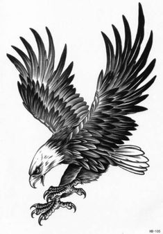 an eagle is shown in black and white with the wings spread out, it's talon