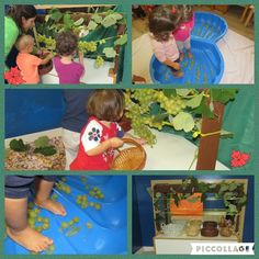 there are pictures of children playing with plants