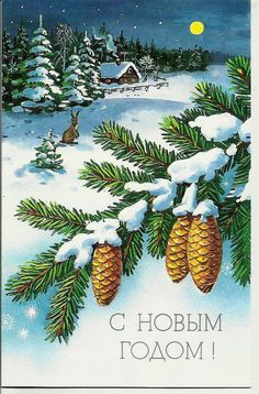 a christmas card with pine cones hanging from a tree branch in front of snow covered evergreens