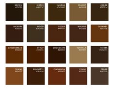 some brown paint colors that are in different shades and sizes, with the names on them