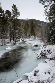 a river running through a forest covered in snow