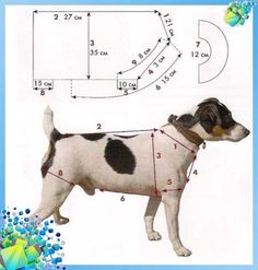 a dog is wearing a harness and standing in front of a blue background with numbers on it