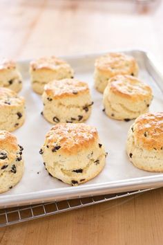 several biscuits on a baking sheet ready to be baked in the oven or used as an appetizer