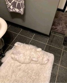 a bathroom with a white rug on the floor