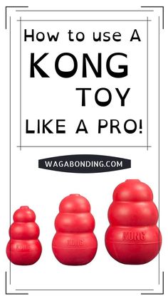 three red balls with the words how to use a kong toy like a pro on them