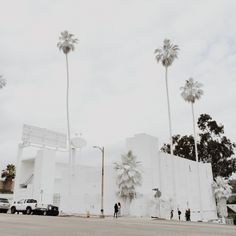 palm trees line the street in front of a white building with two people standing outside