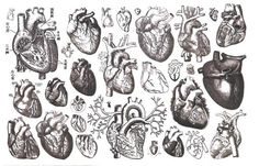 several different types of heart images on a white background