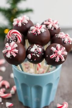 Chocolate cake pops with peppermint decorations in a blue cup.