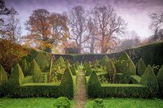 an image of a garden that looks like it has been cut in half and is surrounded by hedges