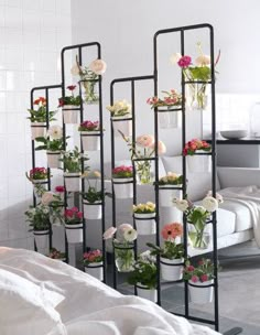 there are many potted plants on the rack in the room and one is white