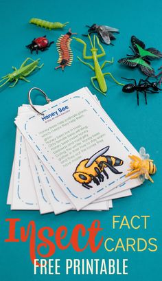 insect fact cards and free printable bug identification tags for kids to use in science projects