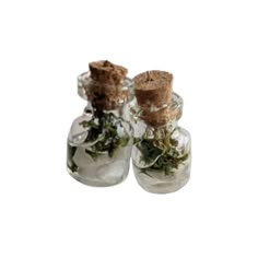 three small glass bottles filled with plants