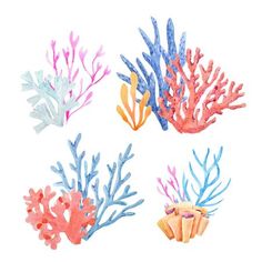 watercolor corals and seaweed on white background stock photo - image 397982