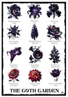 a poster with different types of flowers on it's back side and the words, the goth garden