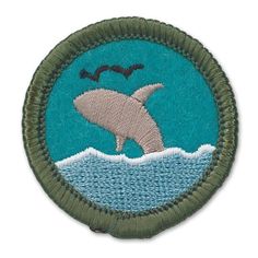 a patch with a dolphin jumping out of the water