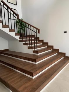 there is a plant on the top of this stair case that has been painted white and brown