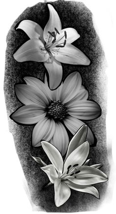 black and white drawing of three flowers