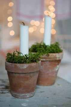 two clay pots with moss and white candles in them sitting on a table next to christmas lights