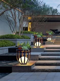 three planters with plants in them sitting on some steps near bushes and trees at night