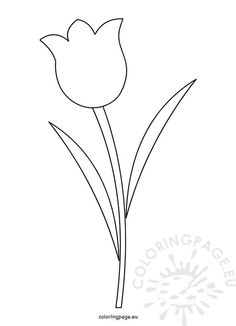 the outline of a tulip flower on a white background