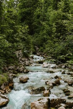 a river running through a forest filled with lots of rocks and trees in the background