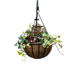 a hanging planter filled with flowers and greenery