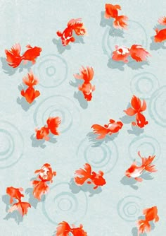 an overhead view of many red fish in the water with swirly designs on them