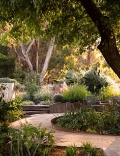 a garden with lots of plants and trees