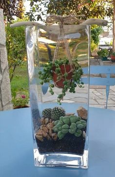 a clear glass vase filled with succulents and plants on top of a blue table