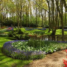 the garden is full of colorful flowers and trees