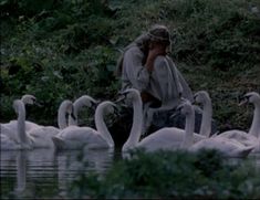 a man standing next to a flock of swans on top of a body of water