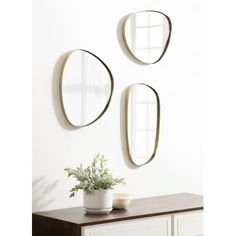 three oval mirrors on the wall above a dresser with a potted plant in it