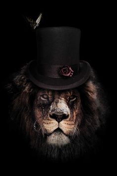 a lion wearing a top hat with a feather