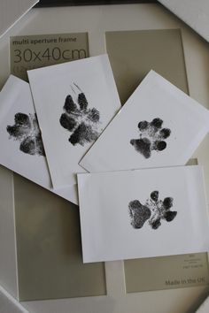 four prints of dogs paw prints on white paper