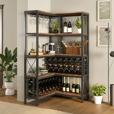 a wine rack filled with lots of bottles next to a plant and potted plants