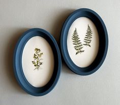 two small blue plates with green plants in them